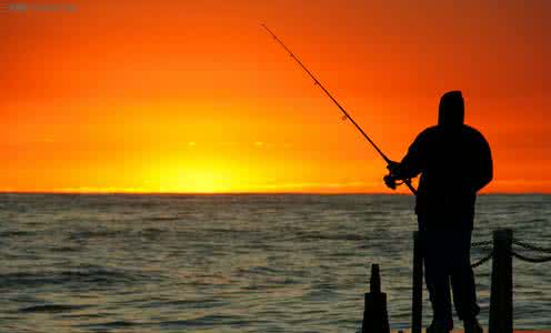 伏天钓大水库鲫鱼方法 夏季钓鱼使用鱼饵的四个技巧