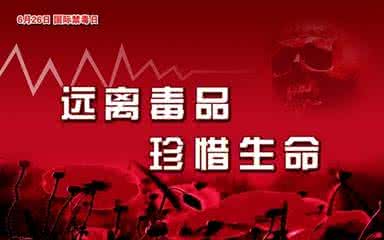 国际禁毒日宣传资料 2016年国际禁毒日宣传资料大全