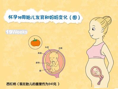 五个月宝宝能力训练 一至五个月哪些能力进入关键期？