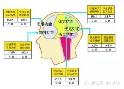 增强记忆力的技巧 增强记忆力的简单训练方法