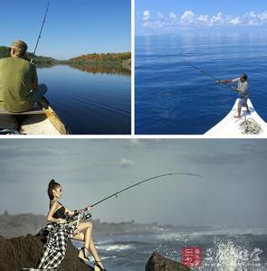 野外垂钓鲤鱼视频 垂钓鲤鱼几个钓点的选择