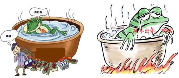 温水煮青蛙爱情含义 温水煮青蛙是什么意思