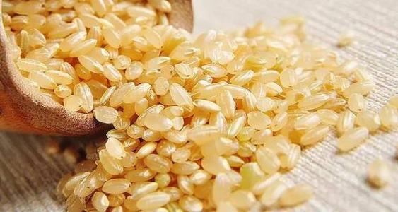 什么是糙米哪里有卖 什么是糙米