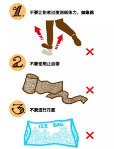 毒蛇咬伤后的急救措施 被毒蛇咬伤后如何急救?毒蛇咬伤急救方法