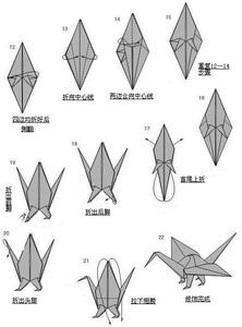 千纸鹤的折法图片大全 千纸鹤的折法图片