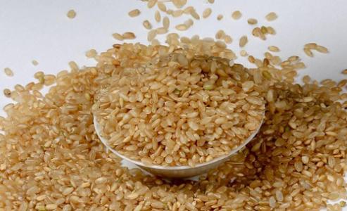 糙米的功效与作用 糙米有什么功效与作用