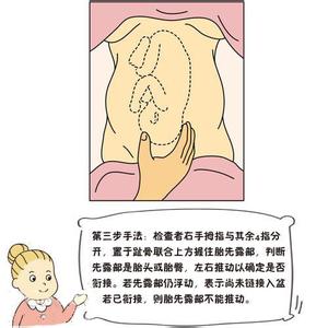 为啥一摸肚子胎儿就动 如何正确抚摸胎儿