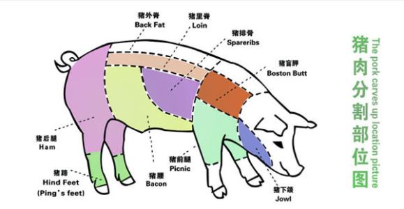 猪肉各部位吃法大不同 如何识别不同部位猪肉