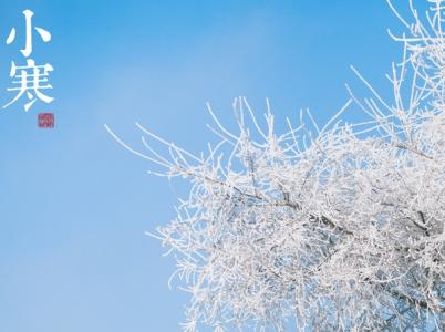 小寒节气 2013年1月5日小寒节气