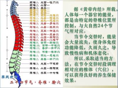 寒露节气养生 寒露节气脊椎养生音乐