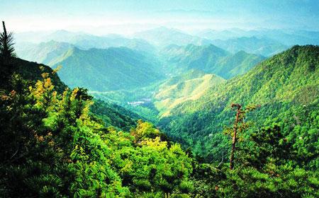 天目山旅游攻略 天目山旅游区