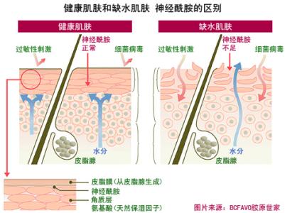 肌肤保湿 元旦给肌肤保湿换装备