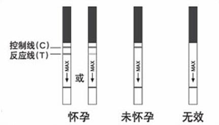 怀孕能查出来准确时间 怀孕多久才能检测出来