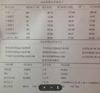 怎样提高怀孕机率 如何提高怀孕机率4点建议