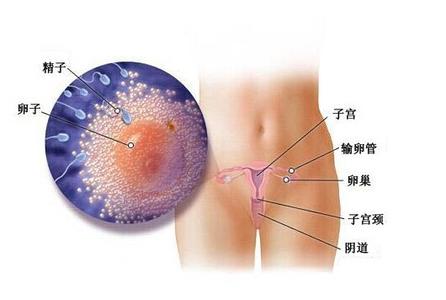 怀孕一周左右初期症状 怀孕一周症状