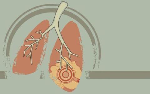肺脏卡通图 如何给肺脏排毒