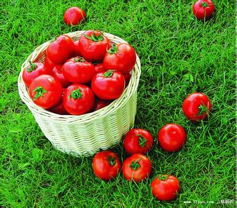 番茄红素 乳腺癌 番茄可有效预防乳腺癌