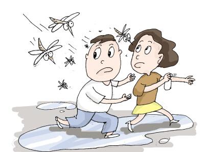 夏季防蚊虫妙招 夏季防蚊虫的18个妙招