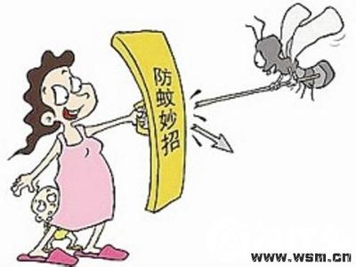 蚊虫叮咬 如何防止蚊虫叮咬_8招把蚊子扼杀在家门外