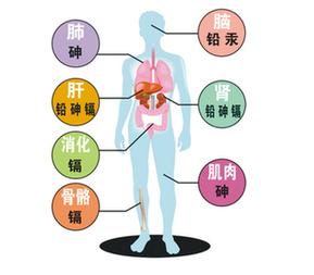 如何排除体内重金属 怎么吃能排除体内重金属