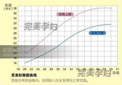 腹围测量的标准方法 腹围测量的意义