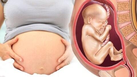 健康准妈妈 准妈妈观察胎儿健康的方法