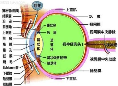 近视800度的女生能要吗 近视眼从800度降到现在的100度