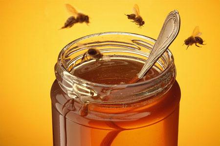 胃溃疡能不能喝蜂蜜 蜂蜜能治胃溃疡吗