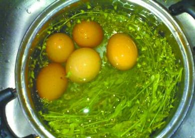 荠菜煮鸡蛋的功效 三月三吃荠菜煮鸡蛋
