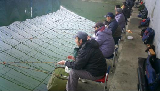 冬季钓鲫鱼浮漂吃铅 冬钓练竿大棚对浮漂的选择