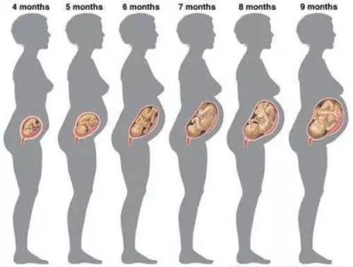 孕期需要补充哪些营养 孕期3个月需要补充的营养