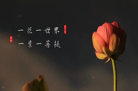 佛语语录：一花一世界，一佛一如来