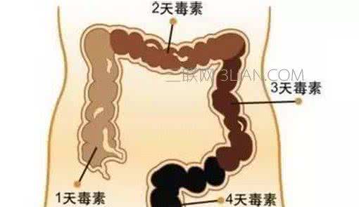 测一测：你身体的毒素多不多