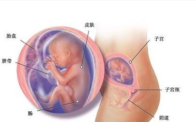 最佳孕育月份 五个“最佳”因素孕育优秀宝宝