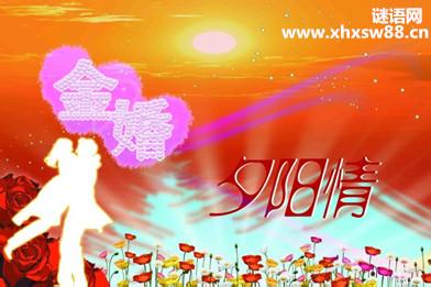 金婚祝福语大全 2015年金婚纪念日祝福语大全