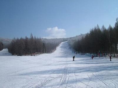 伊春梅花山滑雪场 伊春石猴山滑雪场