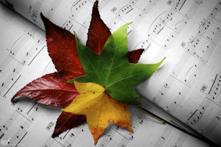 冯骥才《秋天的音乐》阅读练习及答案