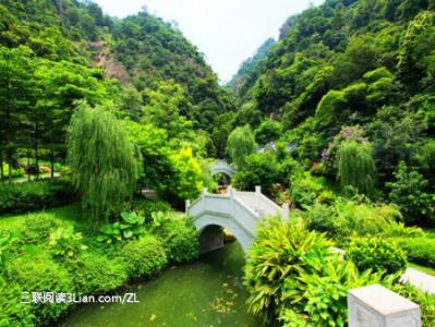 西樵山五一 五一万物吐绿，到西樵山上感受一下绿意吧!