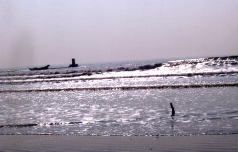 海马台风汕尾 汕尾海马洲