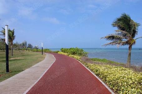 海口海岸线带状公园 海口西海岸带状公园