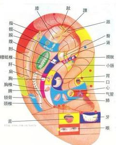 按摩耳朵补肾法视频 6种