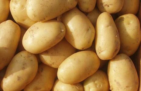 马铃薯的功效与作用 马铃薯是土豆还是红薯