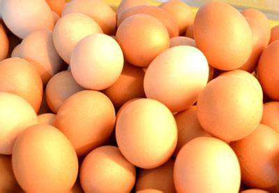 惊蛰吃炒面鸡蛋 惊蛰为什么吃鸡蛋