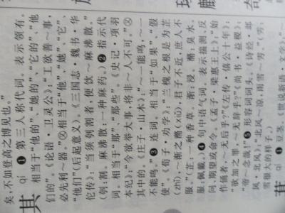 文言文之字用法 文言文矣字用法