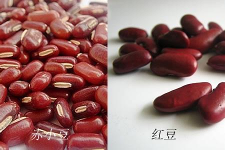红豆与红小豆的区别 红小豆和红豆的区别