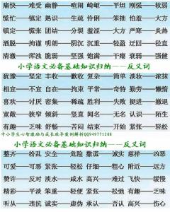 小学常用反义词五年级 小学常用反义词