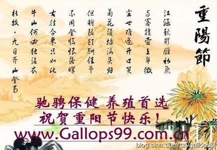 周一发给客户的祝福语 九九重阳节短信祝福语 2013年重阳节发给客户的祝福语