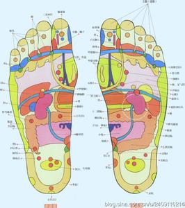 教师养生方法 教你3大反射区的养生方法