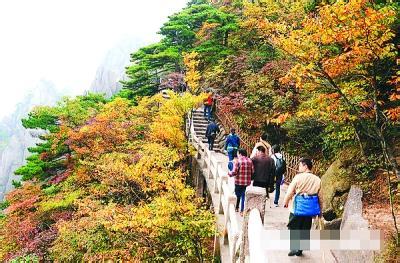 重阳登高作文 重阳登高