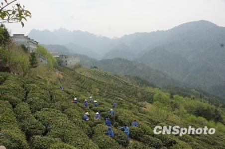 中国十大避暑名山 暑期出游国内最受欢迎的避暑名山